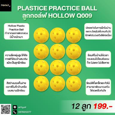 รหัสสินค้า PGM Q009 &nbsp; PGM Q009 HOLLOW GOLF BALL